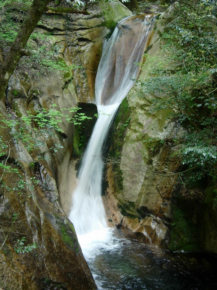 DSCN5403_mid.jpg