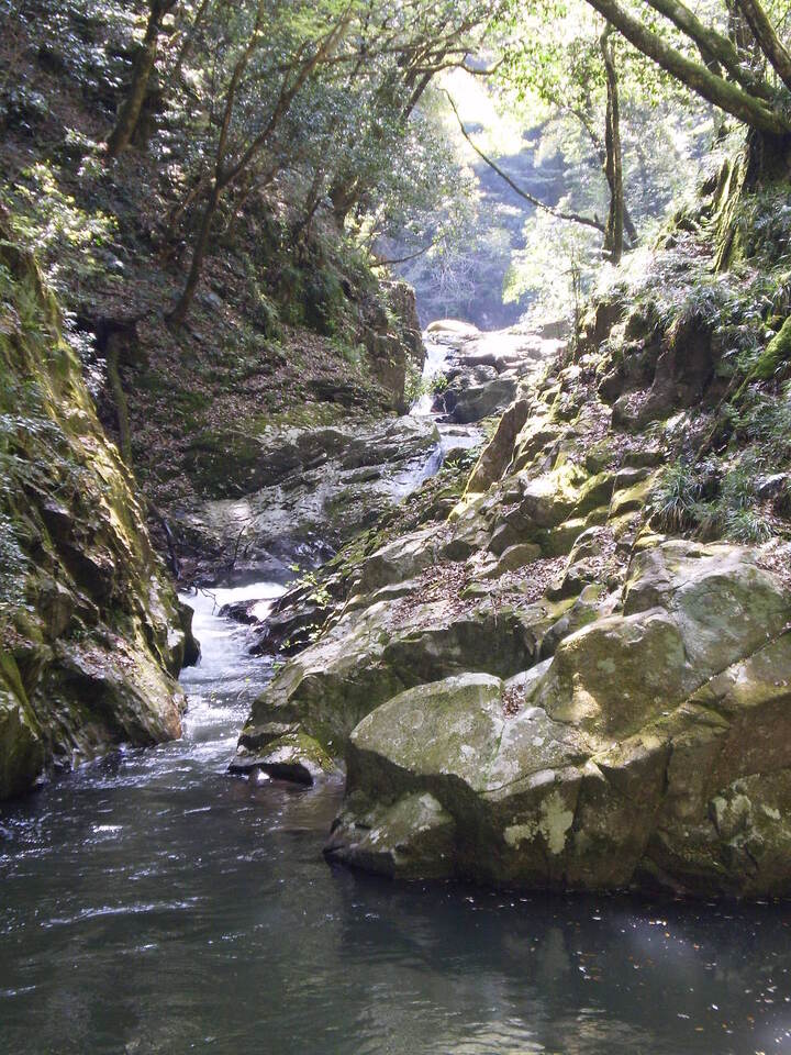 P5010073_mid.jpg
