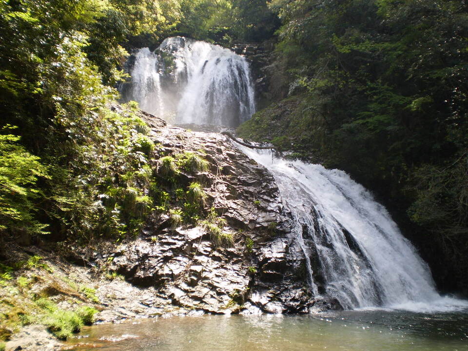 P5010088_mid.jpg