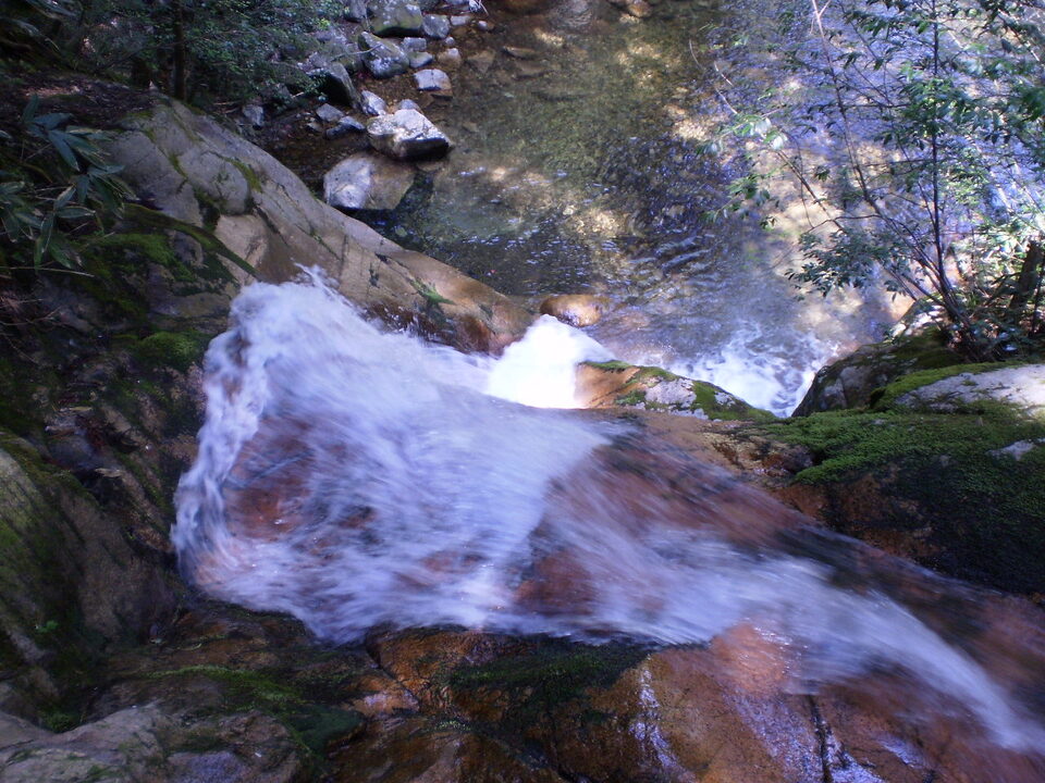 P5010122_mid.jpg