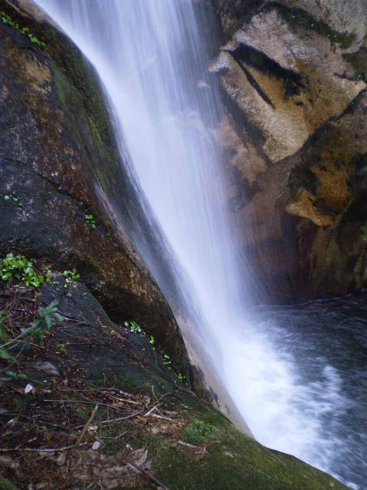 P5010144_mid.jpg