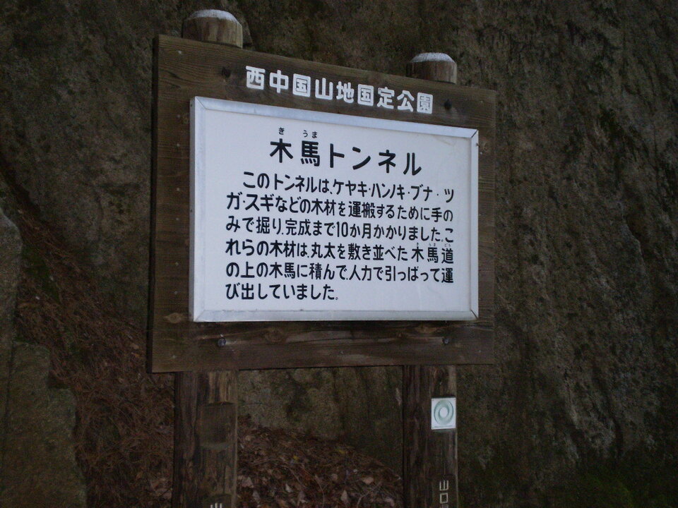 P5010153_mid.jpg