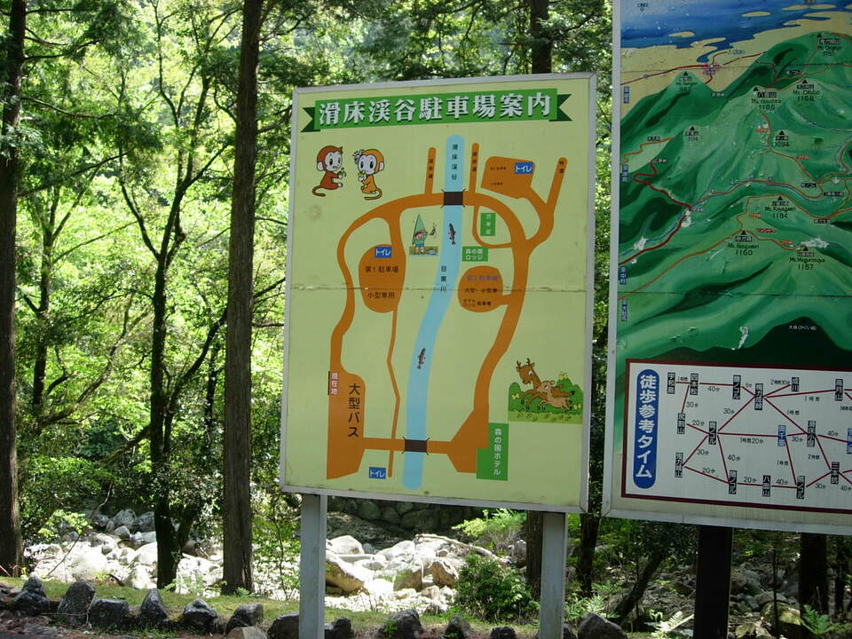 DSCN5417_mid.jpg
