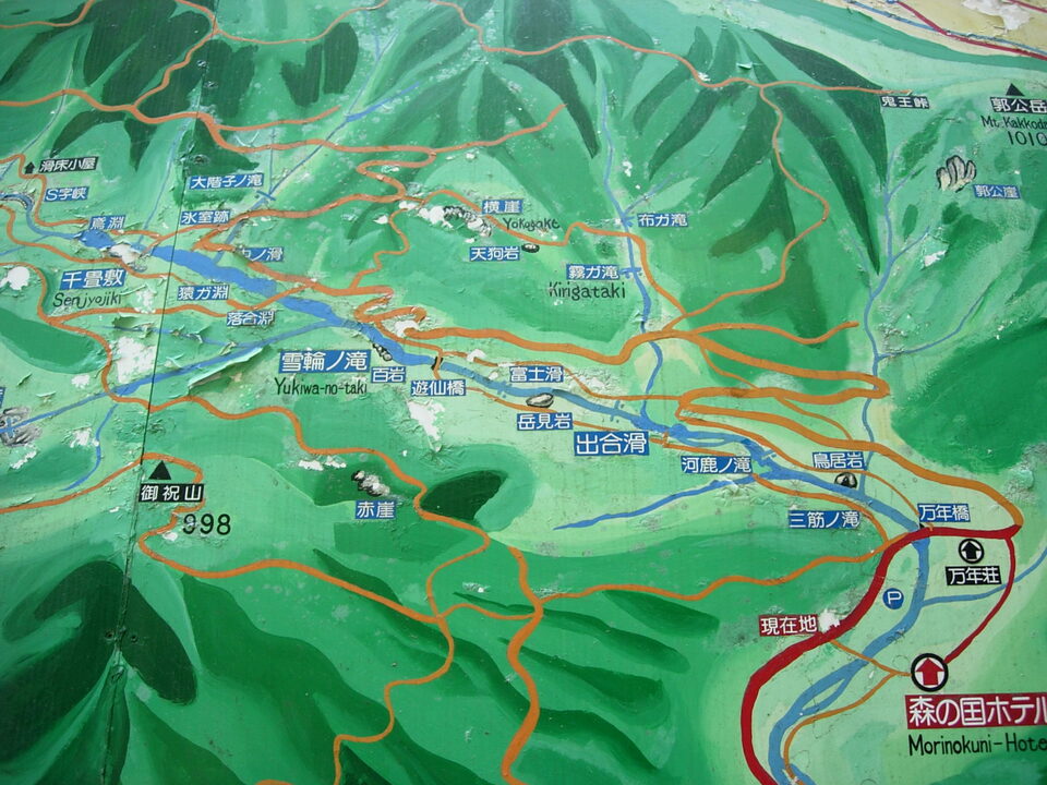 DSCN5419_mid.jpg