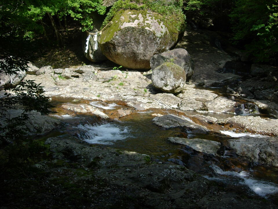 DSCN5427_mid.jpg