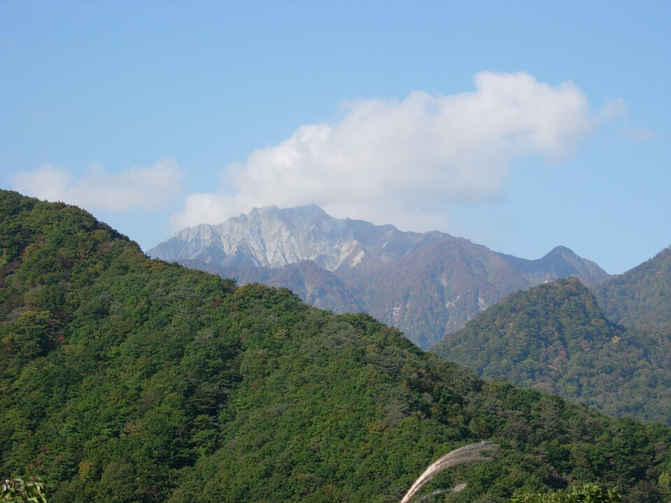 DSCN4737_mid.jpg