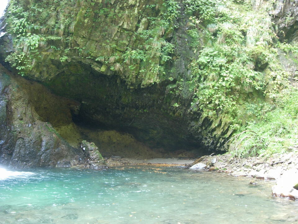 DSCN4770_mid.jpg