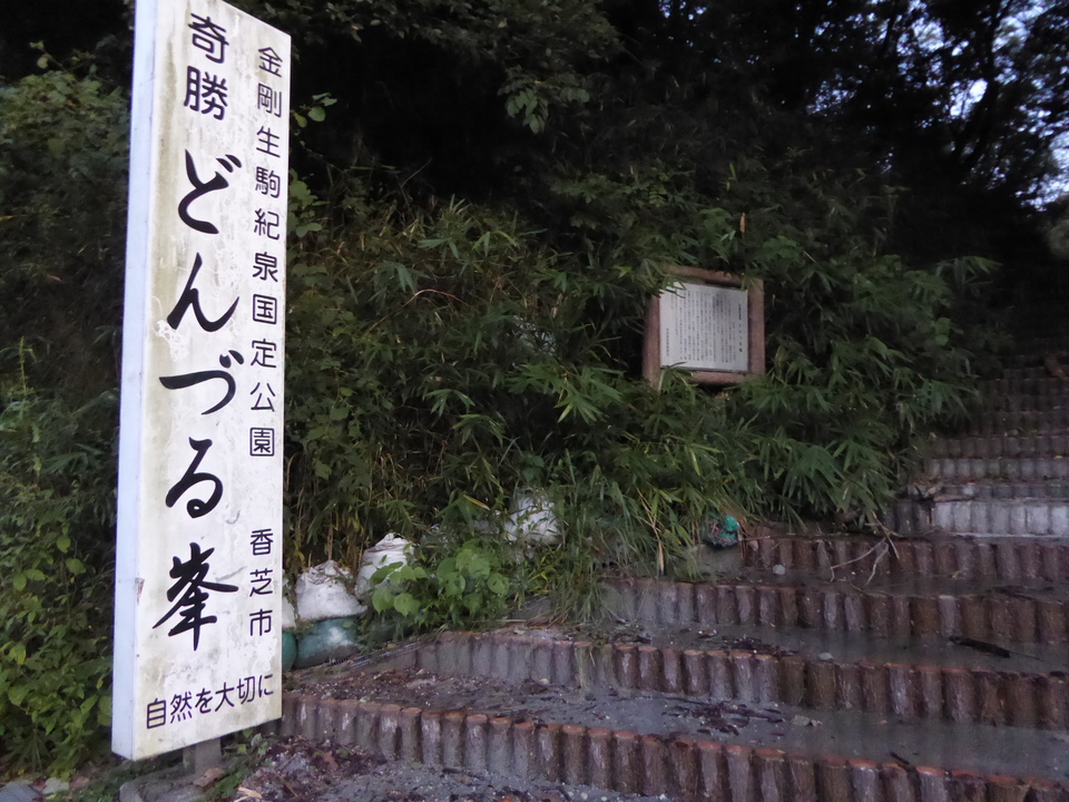 P1030583_mid.jpg