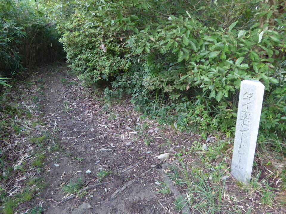 P1030601_mid.jpg
