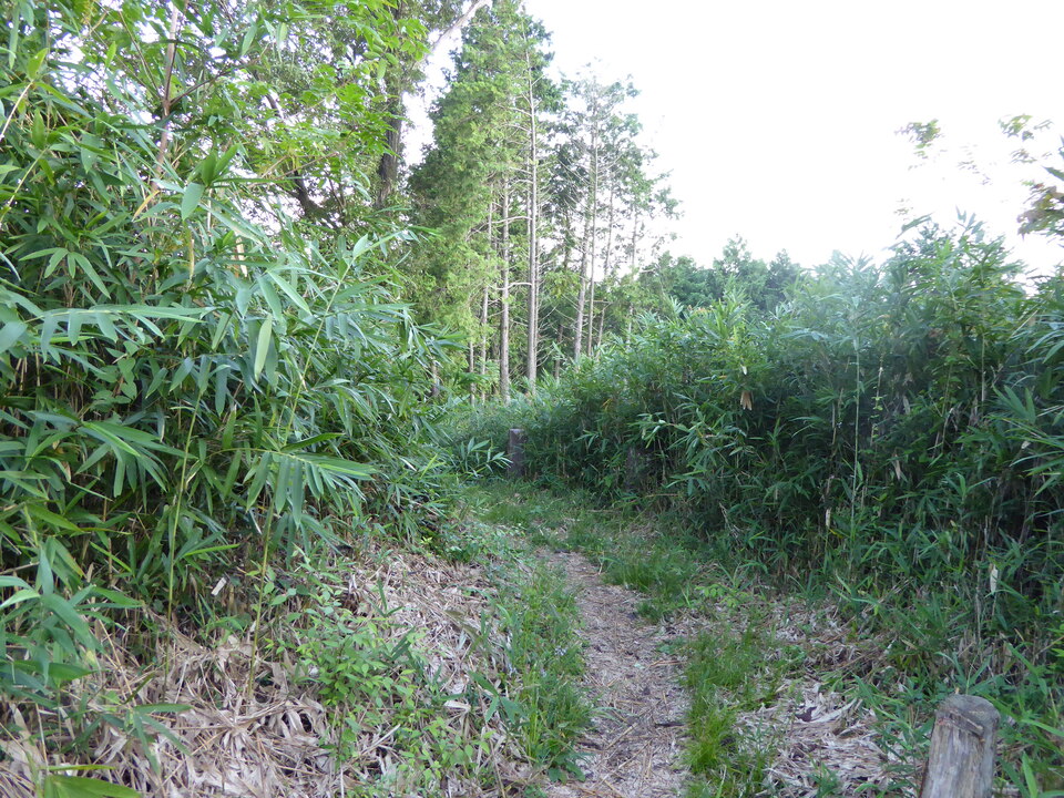 P1030605_mid.jpg