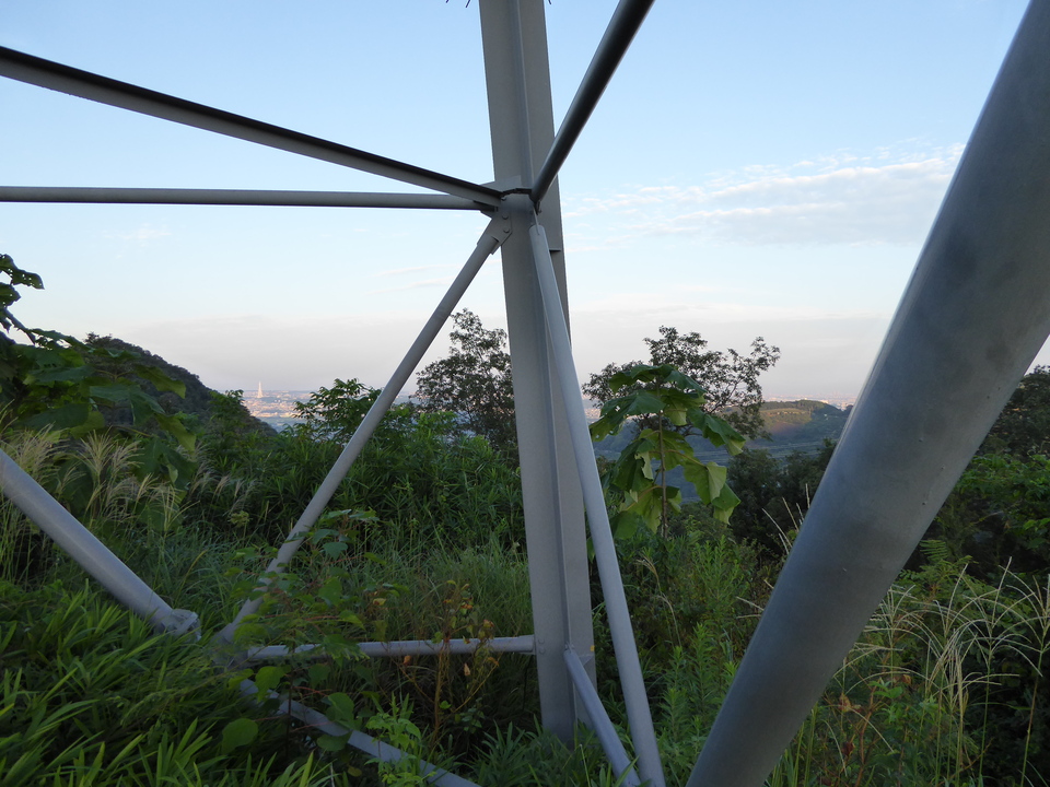 P1030607_mid.jpg