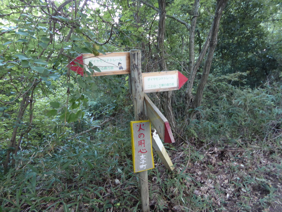 P1030610_mid.jpg