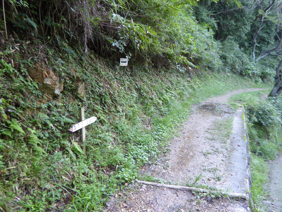 P1030639_mid.jpg