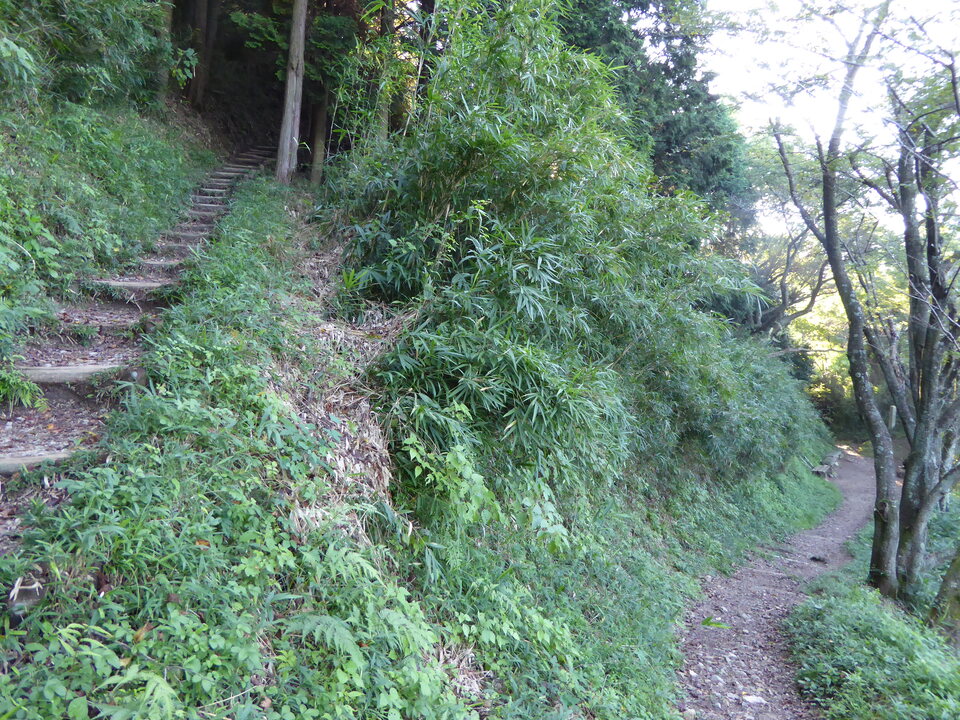 P1030644_mid.jpg