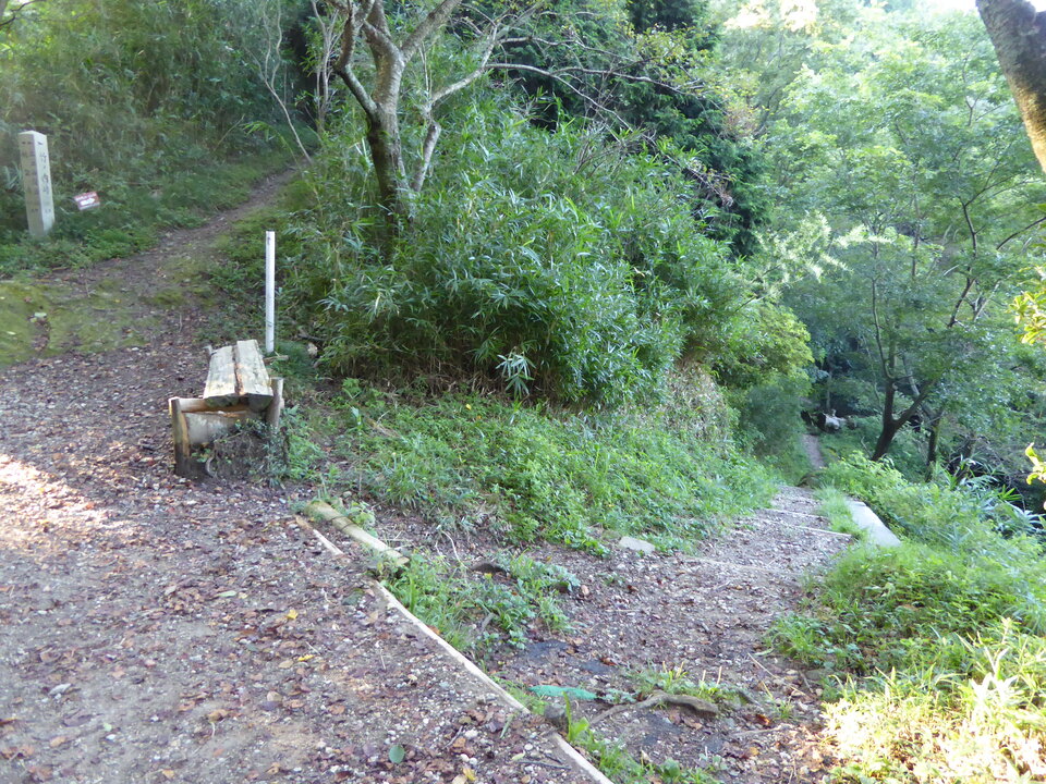 P1030649_mid.jpg