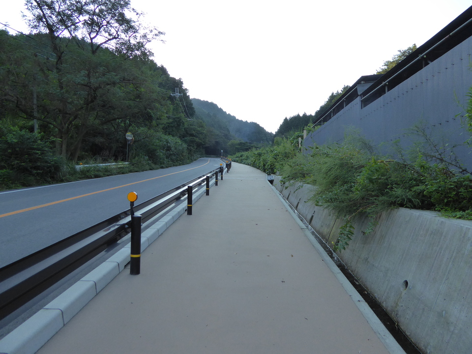 P1030664_mid.jpg