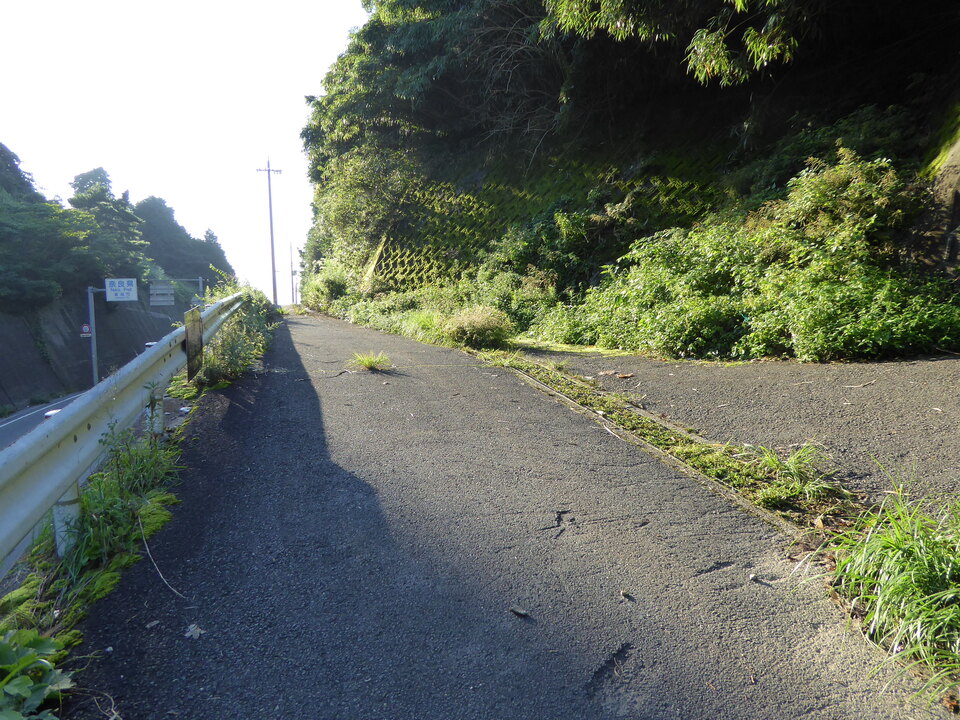P1030668_mid.jpg