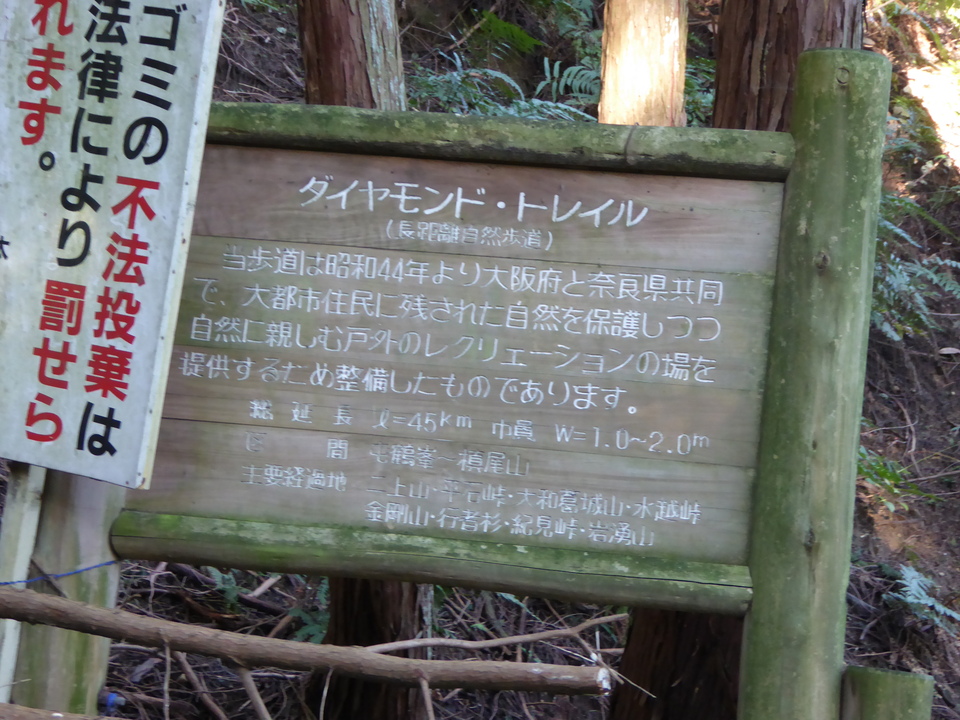 P1030671_mid.jpg