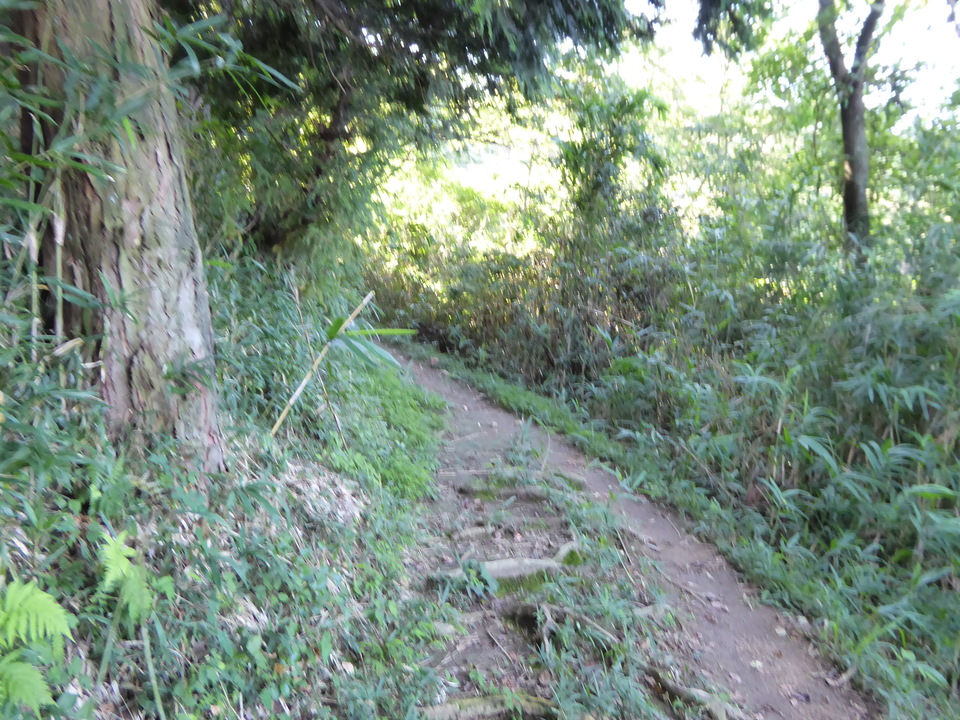 P1030697_mid.jpg