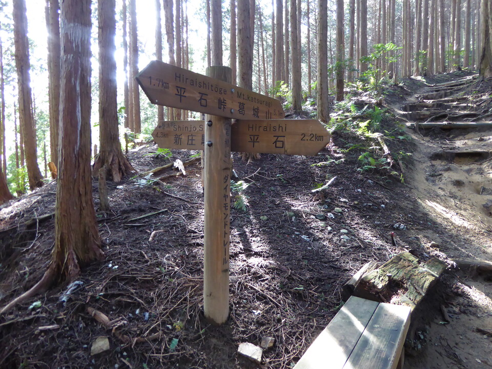 P1030715_mid.jpg