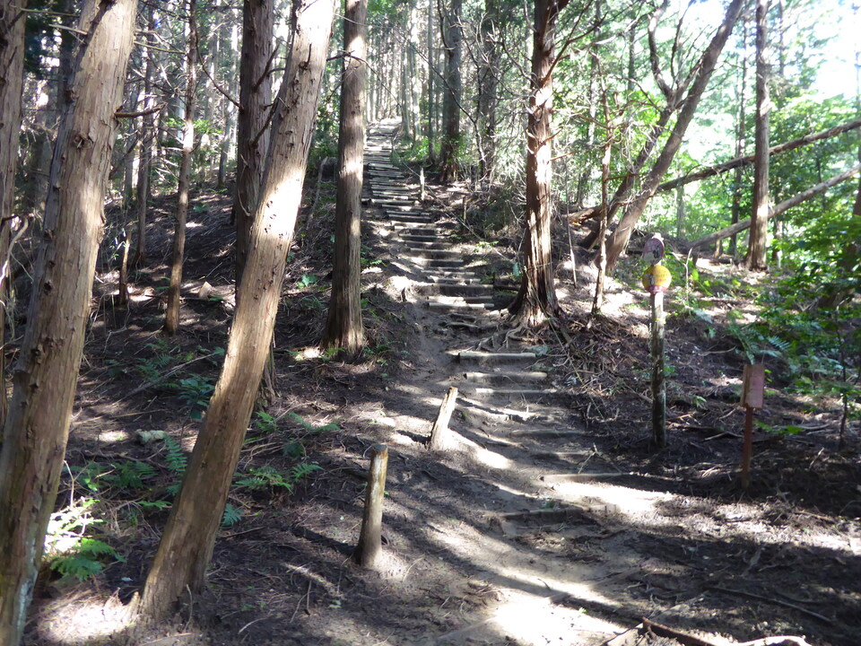 P1030718_mid.jpg