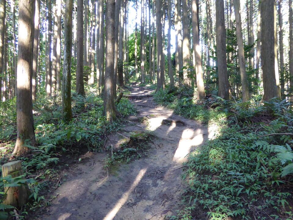 P1030727_mid.jpg