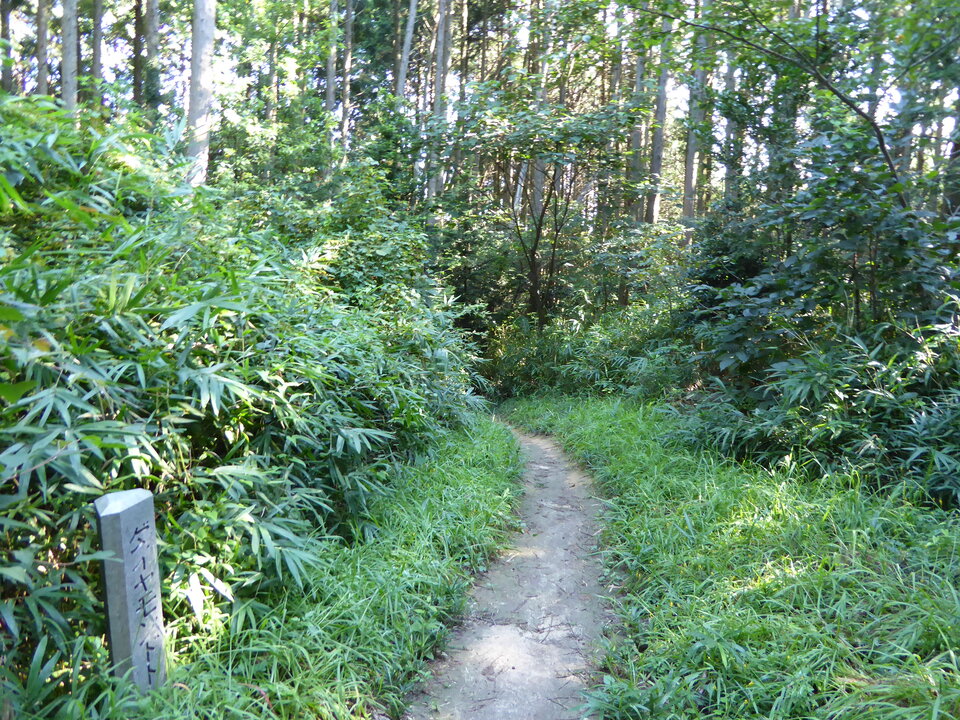 P1030735_mid.jpg