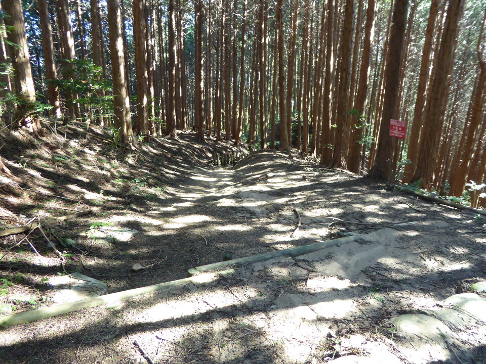 P1030740_mid.jpg