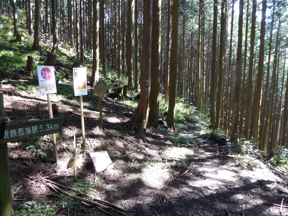P1030753_mid.jpg