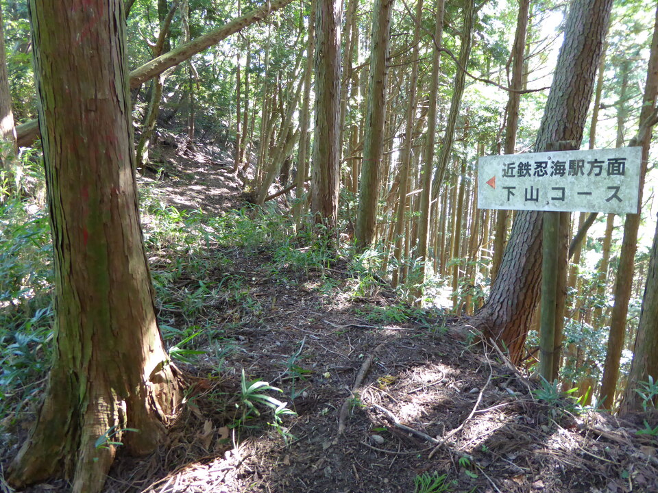 P1030757_mid.jpg