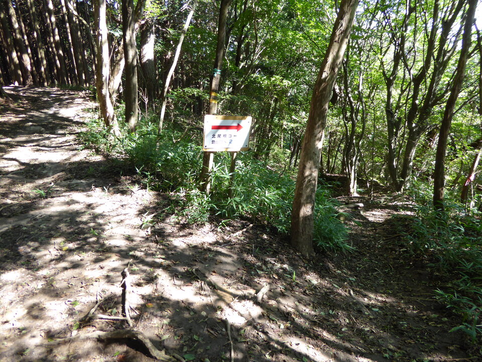 P1030760_mid.jpg