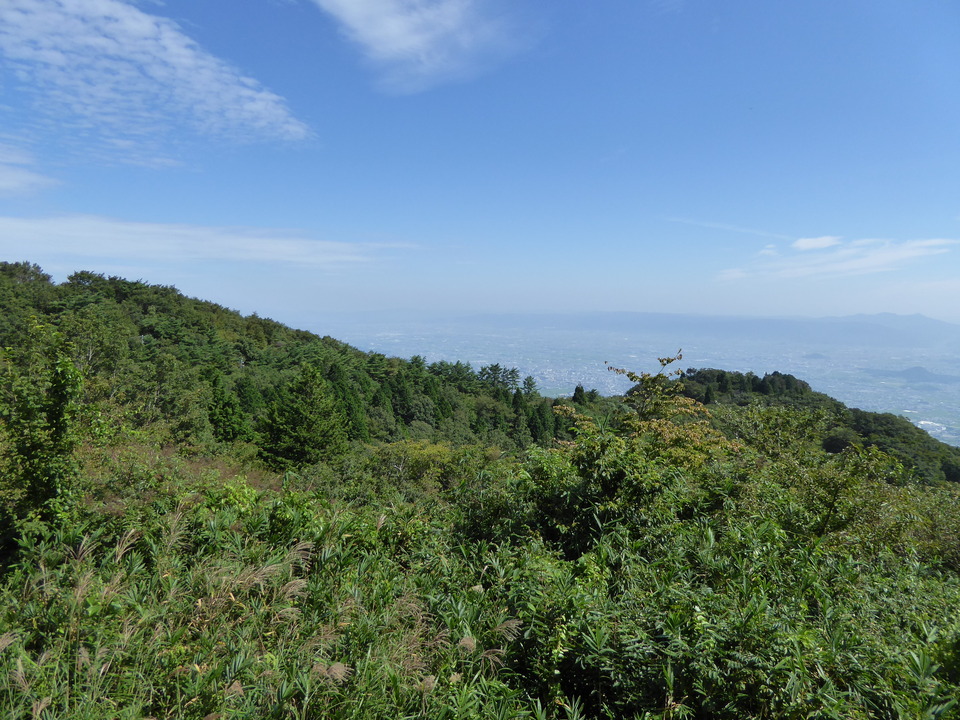 P1030779_mid.jpg
