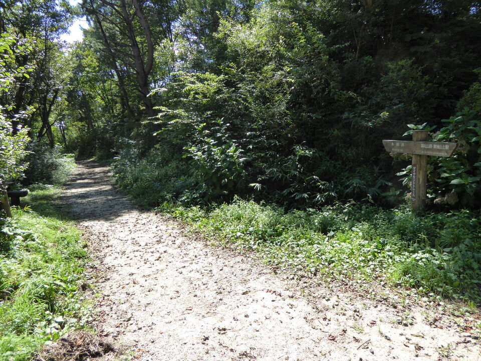 P1030788_mid.jpg