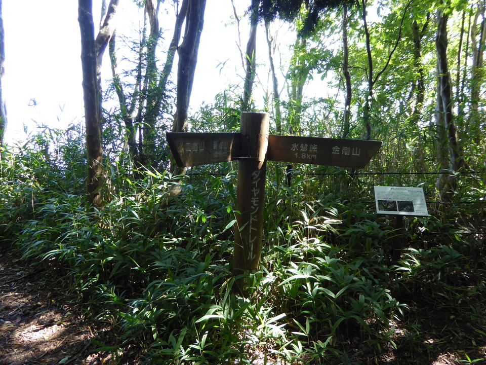 P1030797_mid.jpg