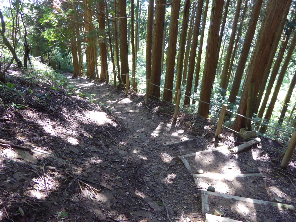 P1030801_mid.jpg