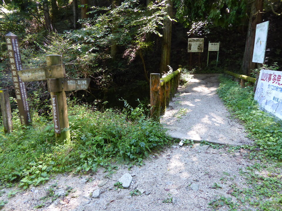 P1030829_mid.jpg