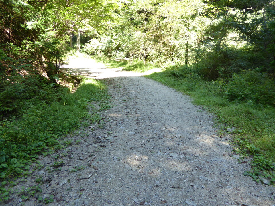 P1030831_mid.jpg