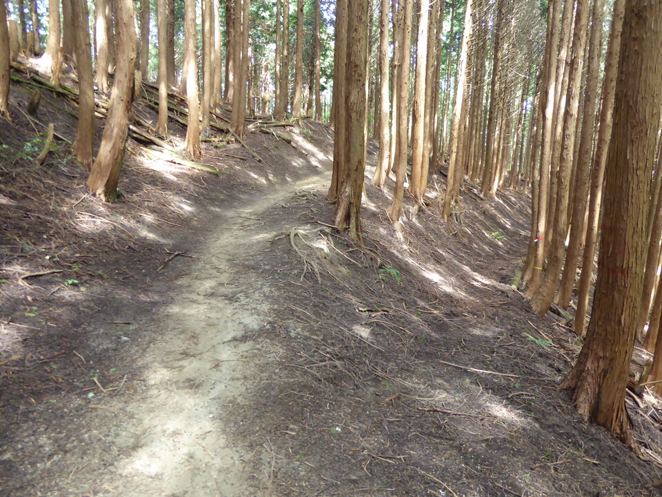 P1030844_mid.jpg