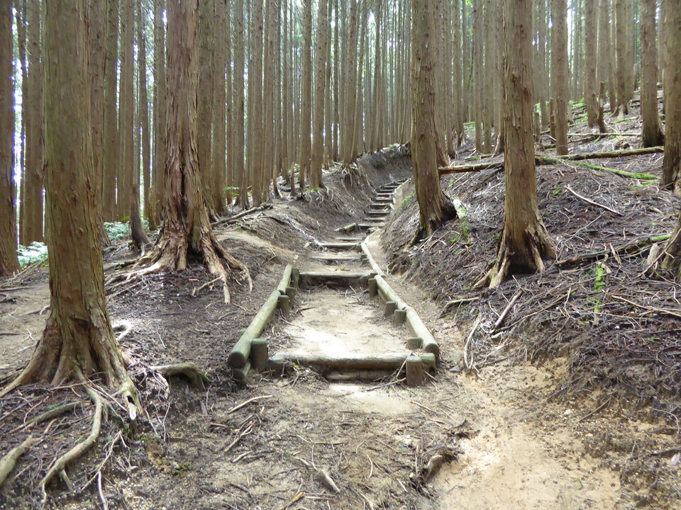 P1030848_mid.jpg