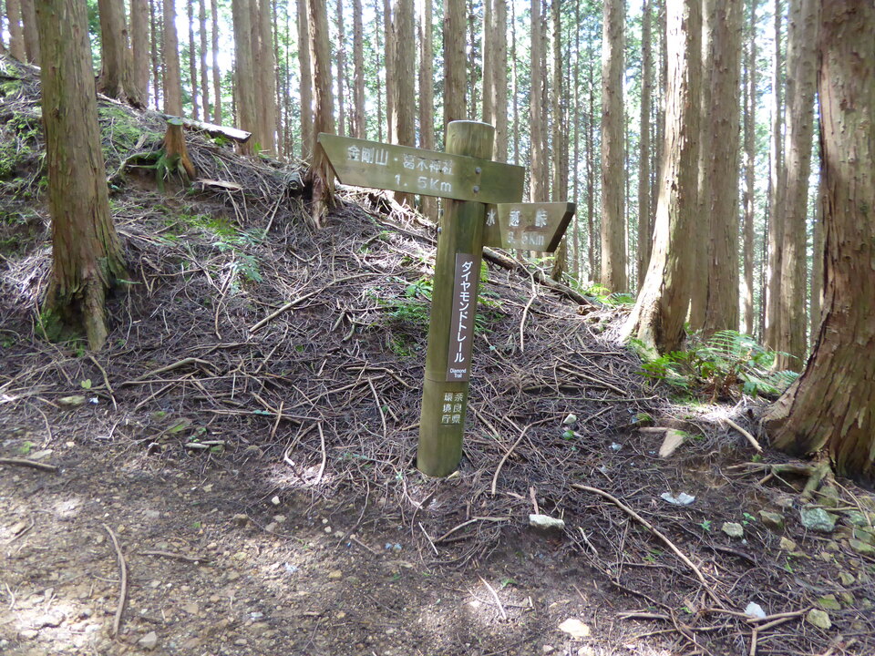 P1030849_mid.jpg