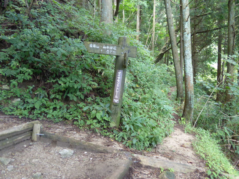 P1030853_mid.jpg