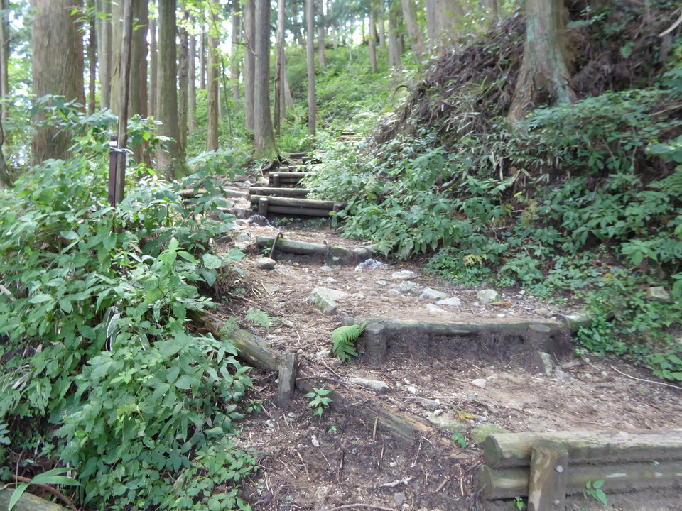 P1030854_mid.jpg