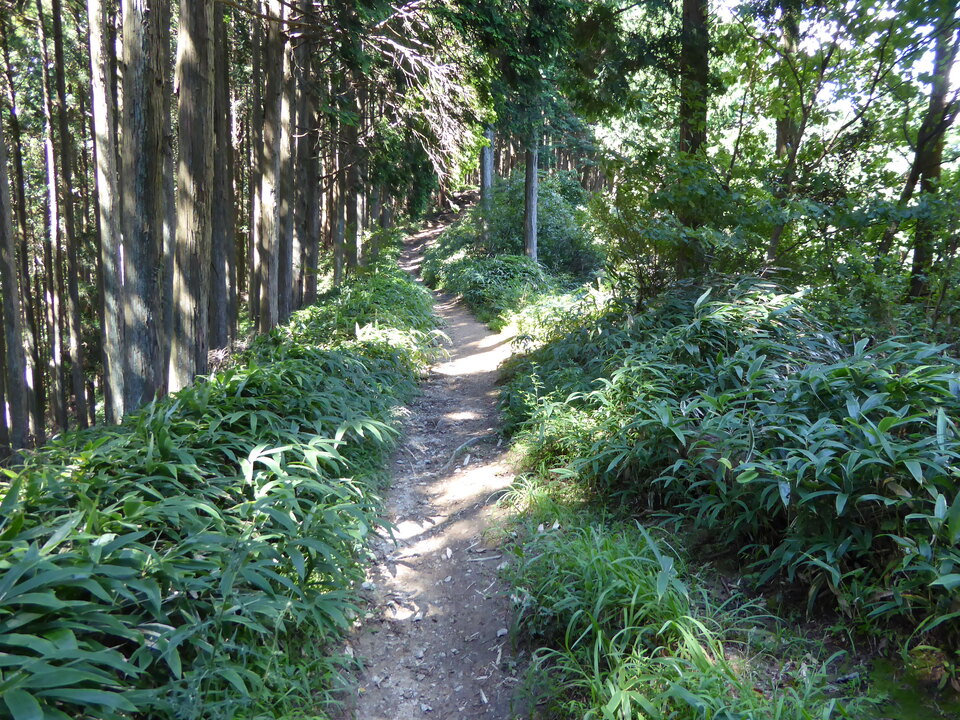 P1030905_mid.jpg