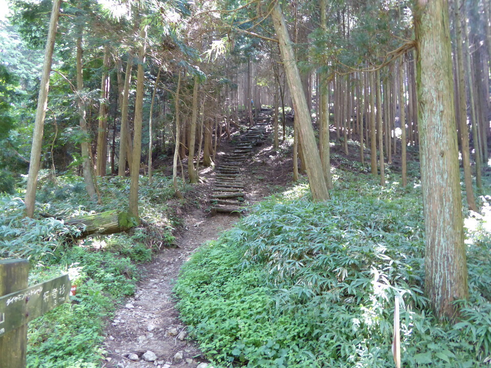 P1030916_mid.jpg
