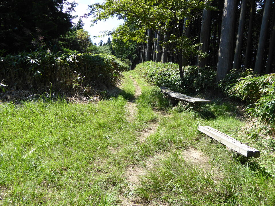 P1030920_mid.jpg