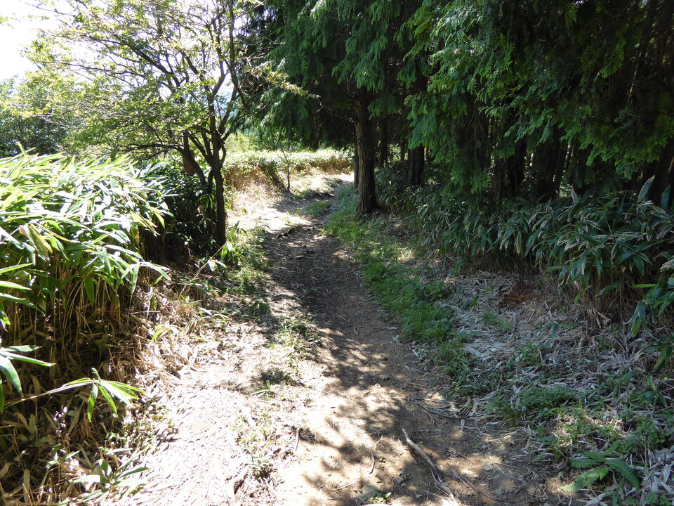 P1030923_mid.jpg
