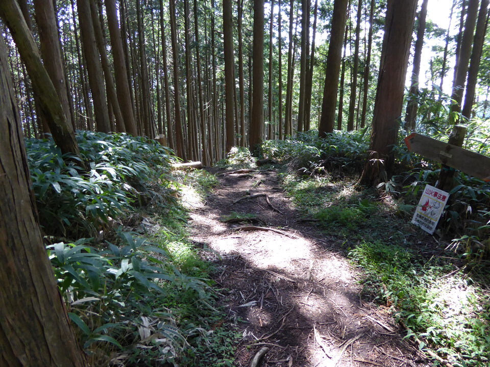 P1030930_mid.jpg