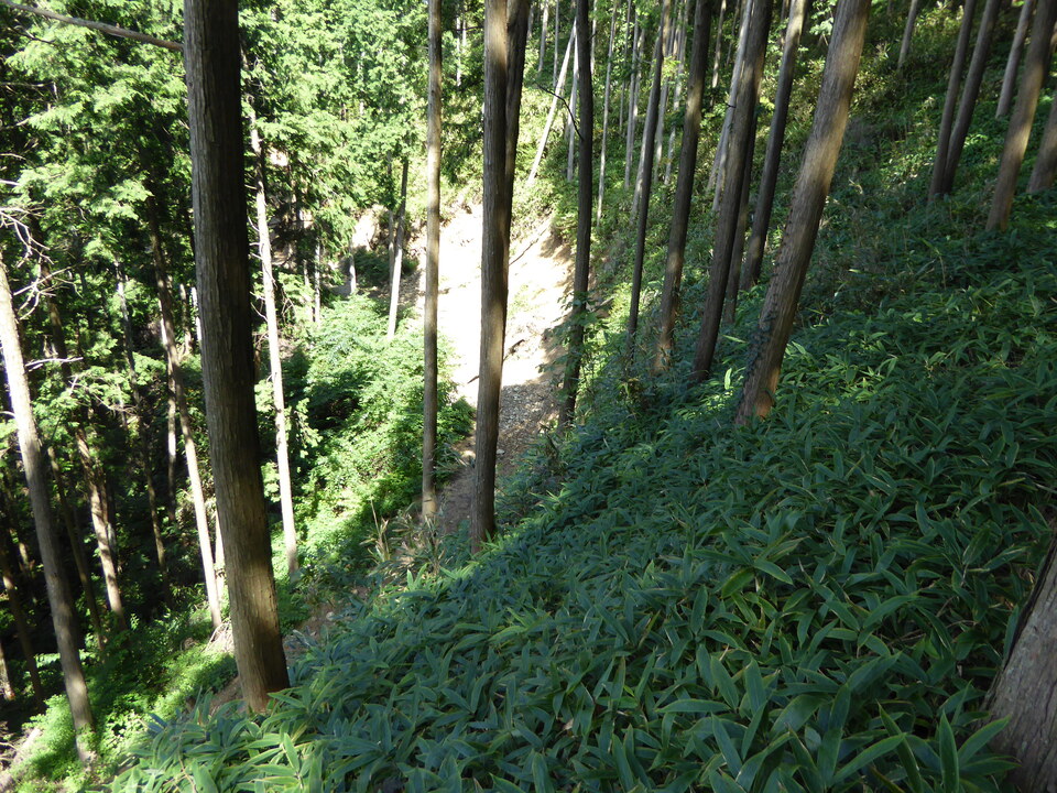 P1030932_mid.jpg
