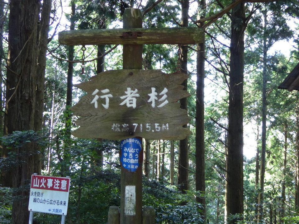P1030973_mid.jpg