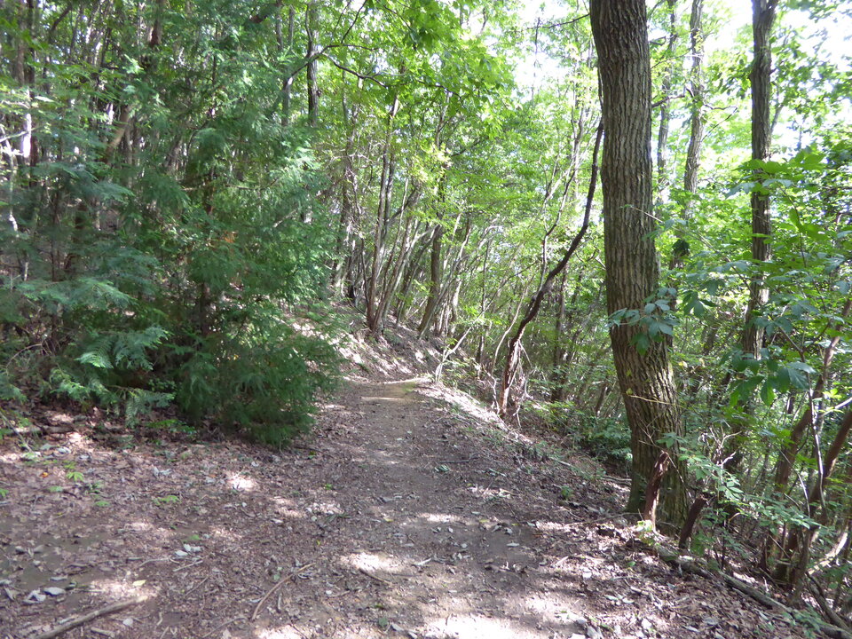 P1030999_mid.jpg